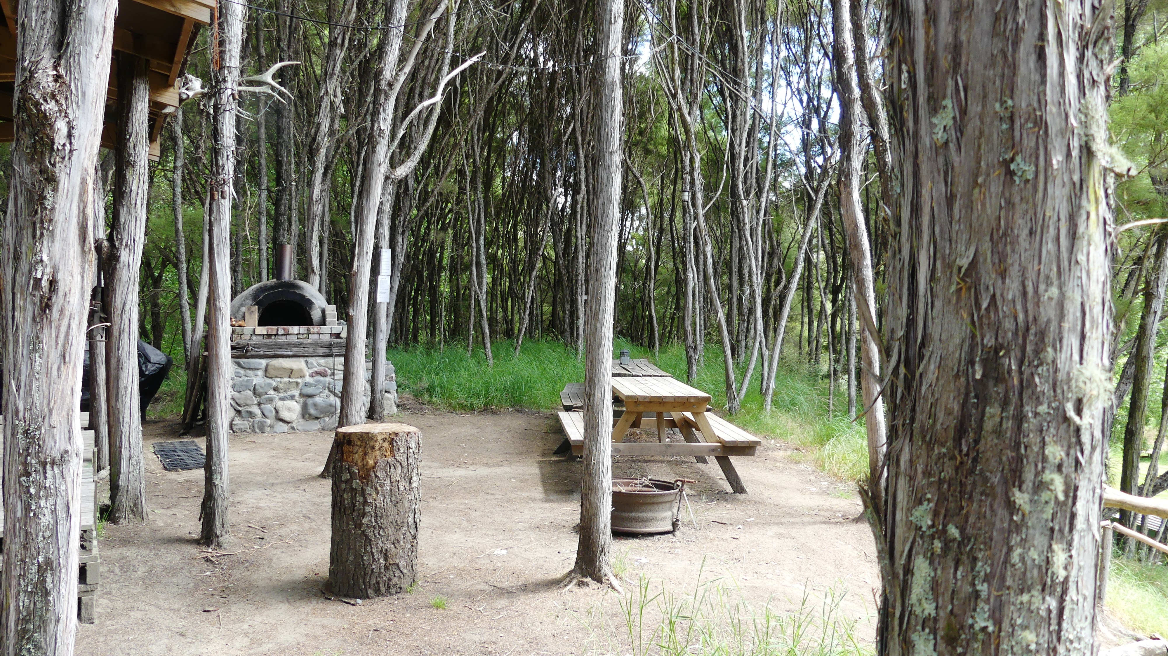 Bush Kitchen / Dining