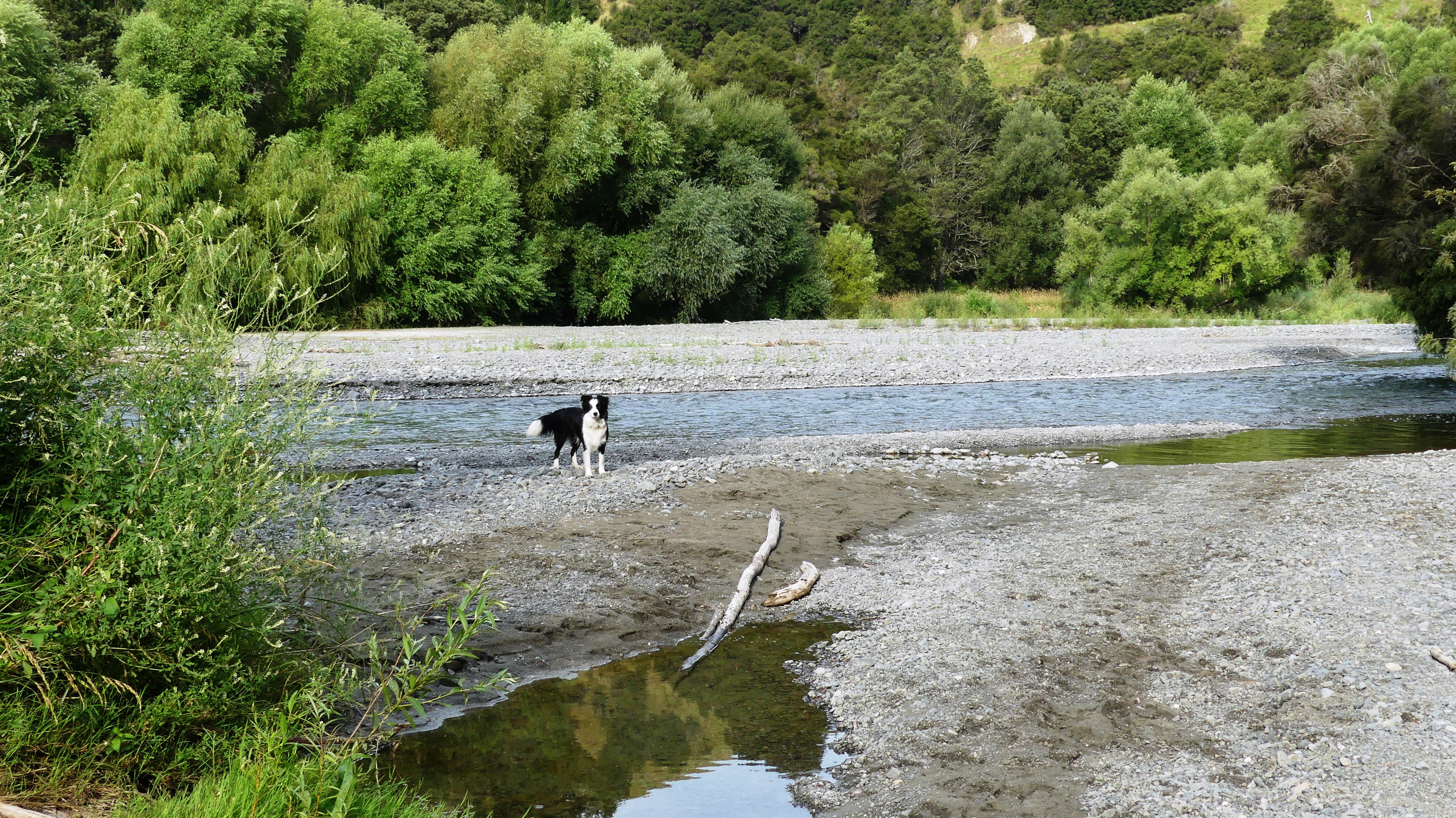 Tūtaekurī River