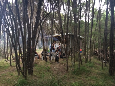 Bush Kitchen